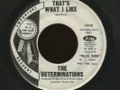 NORTHERN SOUL 45 THE DETERMINATIONS - THAT'S WHAT I LIKE - ORIGINAL PROMO RARE