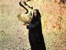 Fleetwood Mac - Pious Bird of Good Omen