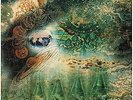 PINK FLOYD A SAUCERFUL OF SECRETS LP 1968 EMI/COLUMBIA BLACK LABEL SILVER LETTER