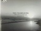 THE CHAMELEONS Live at the Gallery Club - 2LP / Grey Vinyl - Limited