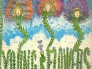 Young Flowers: Blomsterpistolen +no 2 1979 Rare danish psych blues
