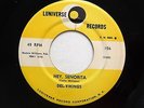 DEL-VIKINGS 45 Hey Senorita / over the rainbow LUNIVERSE  Doowop bb2941