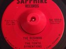 Deep Funk Sweet Soul 45 THE TENTH DYMENTIONS The Bushman SAPPHIRE EX+ Rngwr
