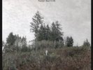 Damien Jurado - Saint Bartlett Vinyl LP 12 Tracks Alternative Pop Rock NEW+