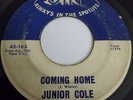 Junior Cole & Johnny Winter's Band 45 JIN Coming Home 7