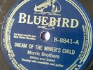 Bluebird 8841 MORRIS BROTHERS  LITTLE NELLIE  Pre-War Hillbilly/Blue Grass 78