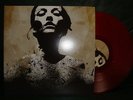 CONVERGE jane doe 2LP RED CV sxe nyhc trash talk madball earth crisis bitter end