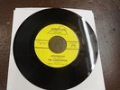 Rare Salem VA 45 RPM Record Dominion 1022 The Companions Moonraker