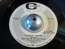 Bob Seger & The Last Heard -Vagrant Winter- WLP Garage Psych 45 on Cameo - Hear