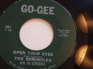 Rare GO-GEE 287 The SEMINOLES 1961 (NM-) 45RPM Detroit Blue Eyed Northern Soul