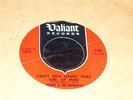Danny & the Memories 45 VALIANT Can't Help Lovin That Girl of Mine M- 64 Doo-wop