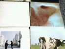 Pink Floyd. 6 Lps.dark side, meddle, the wall,wish you, atom heart,ummagumma.