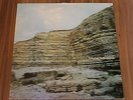 Echo And The Bunnymen - A Promise (1981) (Vinyl 12