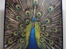 The Bluetones ?– Expecting To Fly SEALED 1st Press 1996 UK LP Dodgy Oasis BLur