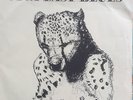 Palace Music Viva Last Blues LP Original Press steve albini  Bonnie Prince Billy