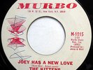 KITTENS 45 Joey Has A New Love / Lonely Summer GIRL GROUP Teen MURBO Pop e1296