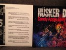 Husker Du x 2 Vinyl Candy Apple Grey Sorry Somehow 12