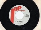 FRIENDS       NO YOU - NO ME / BIRTHDAY SONG    US UP   70s X/O