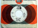 LITTLE EDDIE & FIVE SANDS 45 Leave It Alone PROMO Teen ROCKER Hot Rod 1964 w3781