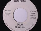 FANTASTICS: That One / High Note 45 (dj) rare Soul