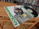 Damnation - Which Is The Justice, Which Is The Thief - 1971 NM - Cleveland
