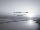 The Chameleons - Live at the Gallery Club
