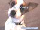MOULIN, MARC - ENTERTAINMENT - LP Vinile 180GR, Nuovo, Sigillato, Ediz MOV