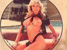 SAMANTHA FOX INTERVIEW PICTURE DISC, LIMITED EDITION, TOPLESS, US SELLER