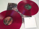 Wildlife by La Dispute (Vinyl, Oct-2011, 2 Discs, No Sleep Records)