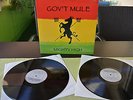 Gov't Mule, Mighty High (Vinyl)