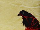 Transatlanticism [VINYL] Death Cab for Cutie Vinyl