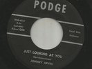 DOOWOP TEEN-  JOHNNY ARVIN & GROUP-- HEAR BOTH- 1958 KING CUSTOM PODGE