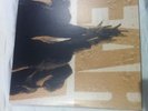Pearl Jam Ten Vinyl Gatefold 2XLP