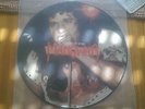 Manowar the secret of Steel Picture Lp