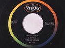 JOHN LEE HOOKER: She's Mine / A New Leaf 45 rare Soul