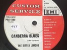 The Bitter Lemons Canberra Blues Garage Punk 45 Very Rare