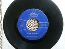 The Fuzztones We're In Love Fuzz Jerks Sky 106 RARE 1960's Garage Punk 45