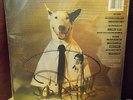 RARE REVERSED & SIGNED Rick Springfield Working Class Dog Record/LP  AFL1-3697 
