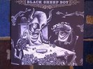 Okkervil River Black Sheep Boy Definitive Edition Double Vinyl LP