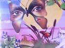 CHERYL DILCHER 