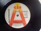 BRUCE SPRINGSTEEN - Promised Land - Demo Promo UK Single - near MINT