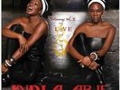 Vol. 2-testimony: Love & Politics - India.Arie New & Sealed LP Free Shipping