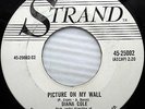 DIANA COLE 45 Pawn Shop / Picture On My Wall PROMO Bopper R&B Strand 1959 e1238