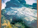 BAND OF HORSES MIRAGE ROCK LP RARE TEST PRESSING SIGNED AUTOGRAPHED LMT PRESS