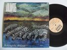 ASANTE Serengeti Voices PRIVATE Miami Afro Disco Boogie Funk LP Dancefloor  HEAR