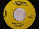 DELL RANDLE: Introducing The Beatles To Monkey Land 45 (instros) Soul
