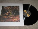 ROGER MORRIS - FIRST ALBUM - PSYCH / FOLK - NEAR MINT