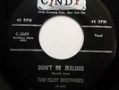 ISLEY BROTHERS 45 Don't be jealous / This is the end CINDY VG+ Doowop w671