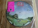 LP NASTY SAVAGE - Indulgence (1987) RARE PICTURE DISC