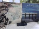 ECHO AND THE BUNNYMEN 